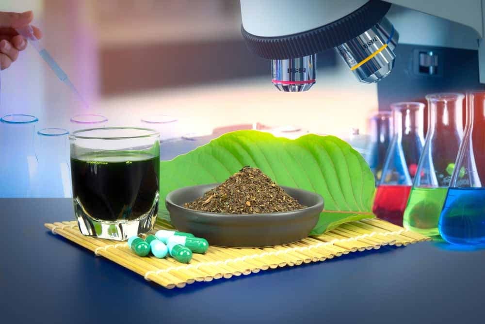 Where to Find the Best Kratom Tea Delivery Chiang Mai Services