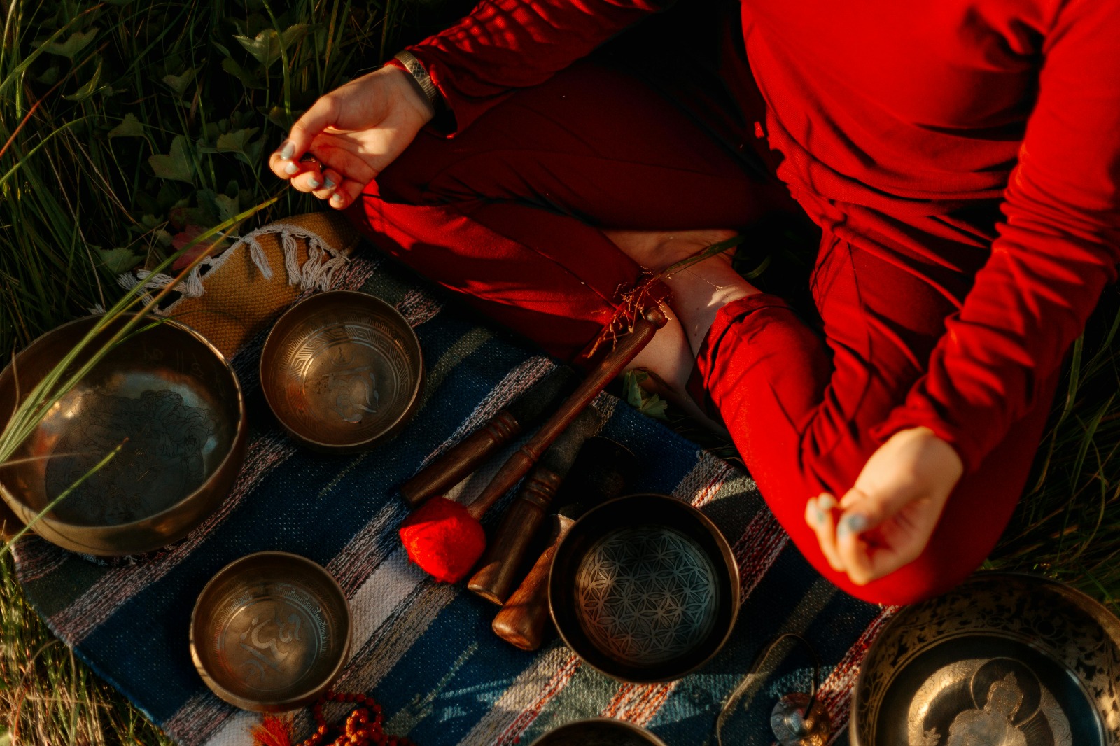 Advanced Ayurveda Online Courses for Professional Practitioners
